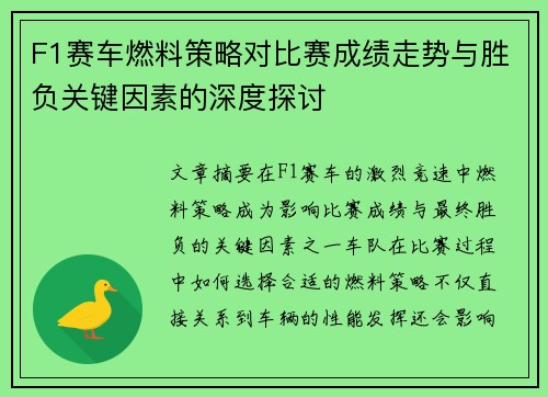 F1赛车燃料策略对比赛成绩走势与胜负关键因素的深度探讨